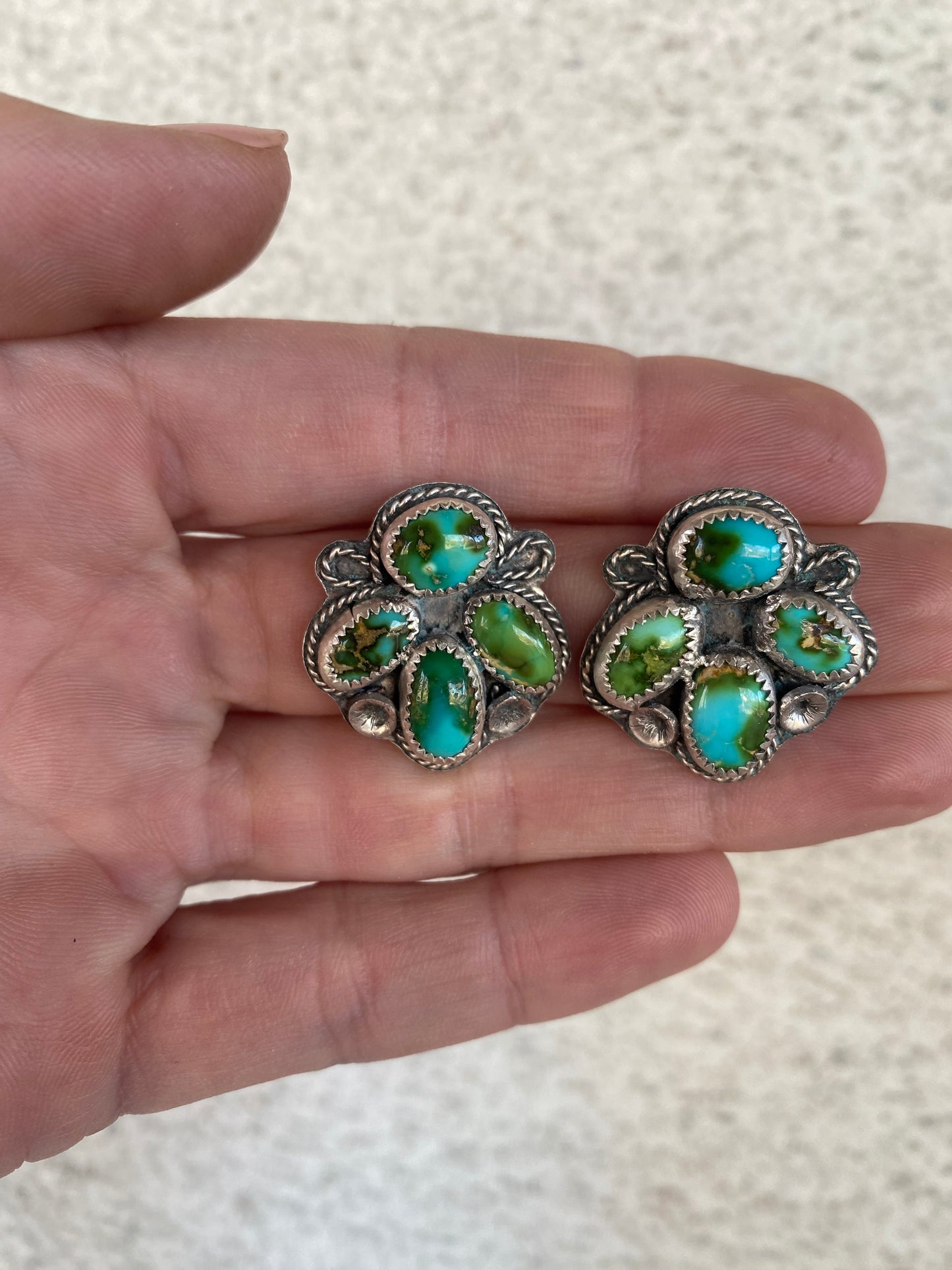 The “Sonoran Mama”