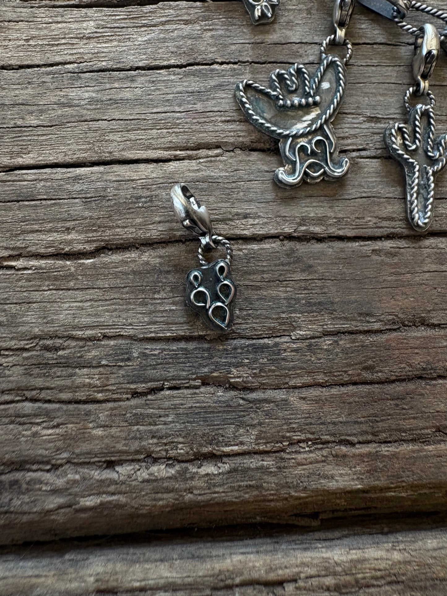 The Prickly Pear Cactus Charm