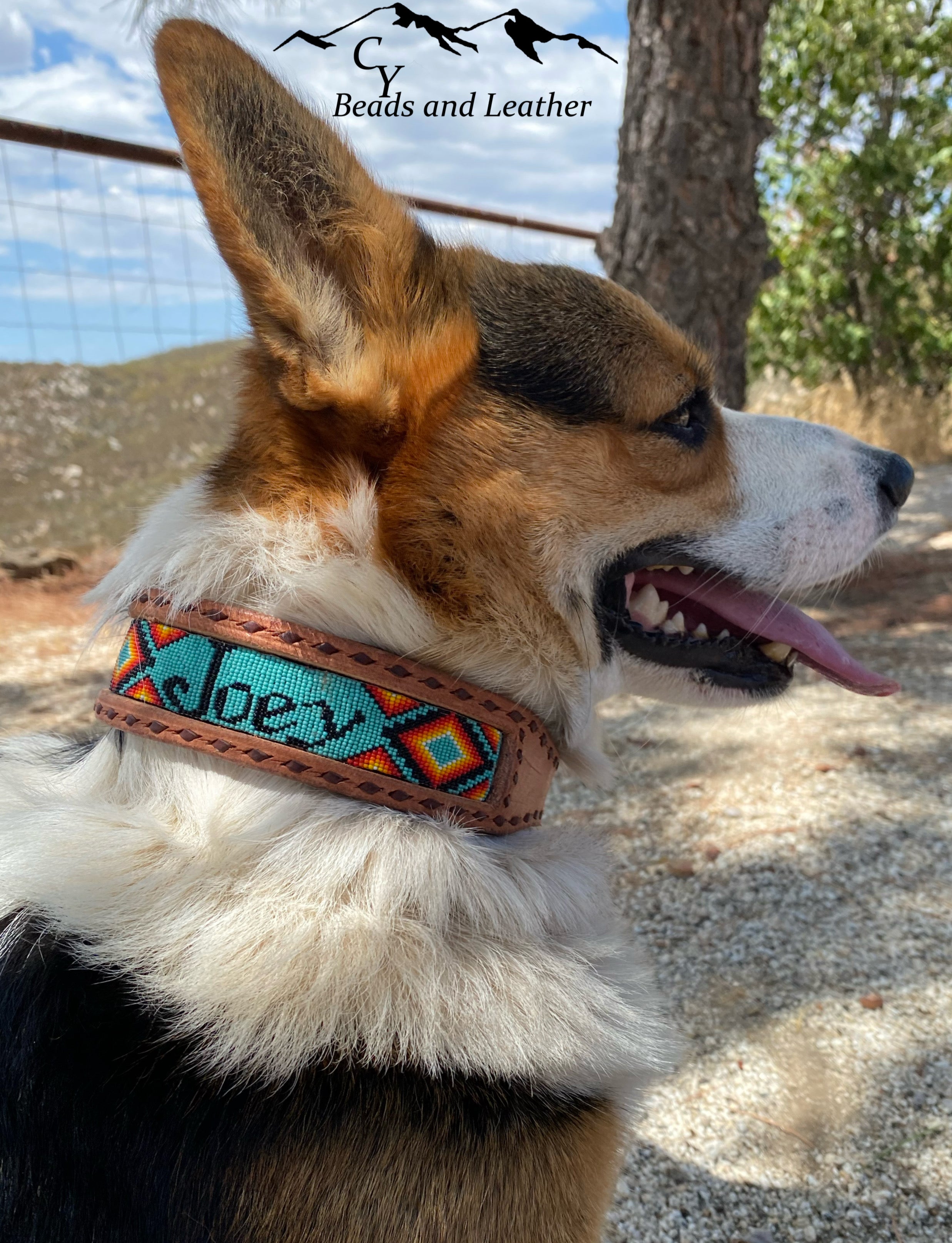 Custom Beaded Dog Collars